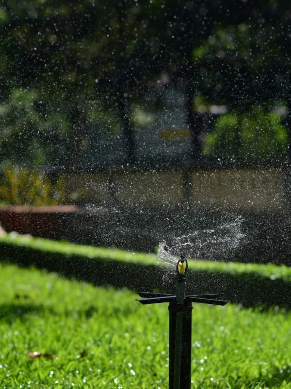 pexels-soc-nang-d-ng-2150345854-34319684 pexels-soc-nang-d-ng-2150345854-34319684